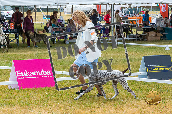 German Shorthaired Pointer Wed Rings_JJL_0015-Premier2023