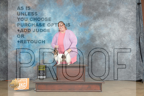 Papillon #217 Sun Fri G4 Judge Malinda JulienMJP_2917_UKCLNVWMAY2023_HR3