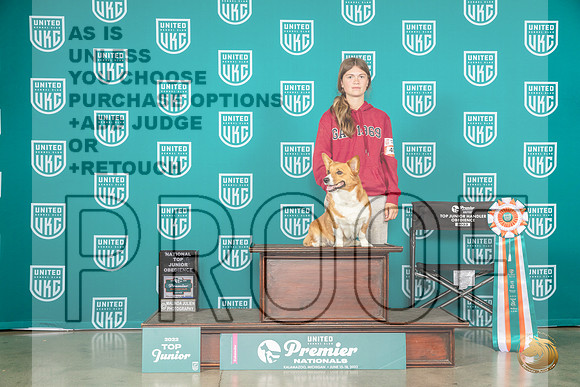 Pembroke Welsh Corgi #405 Thur Jr MJP_4142_Premier2023_HR3