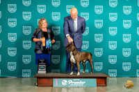 American Pit Bull Terrier #857 BOW Judge Tracey Kallas