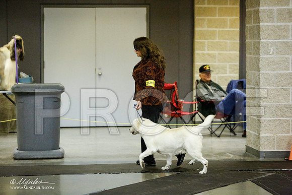 _RH_1117-BeltonJan2015IABCA-HR3