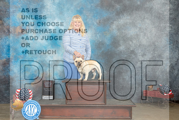 French Bulldog #35 Fri OHBOB Judge Jacqueline L Stacy_MJ_6127_ARK2023_HR3