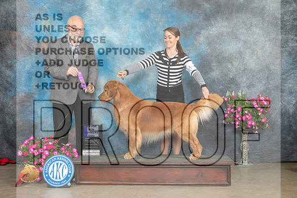 Golden Retriever #19 Sat WDM Judge Gary Andersen_MJ_6544_ARK2023_HR3