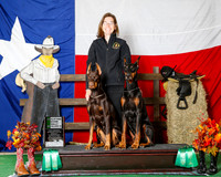 Doberman #602 Sat Rally Adv Ex B