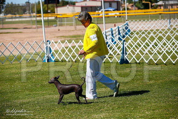 _JJ_8479-AlamogordoOct2014-HR3