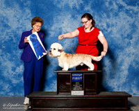 Dandie Dinmont Terrier #5 Sun G1 Blair Caroline and Chas Blair Judge Patricia Trotter