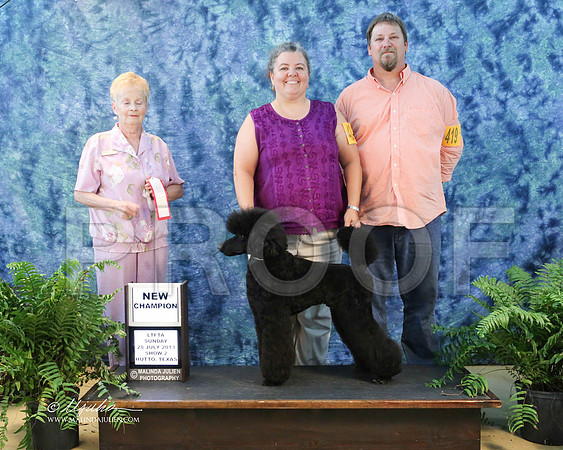 PoodStd-9954-HuttoJul13