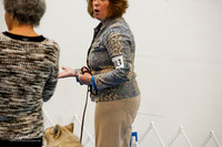 Nov B Trial #2 #103 Anne M Hennessey & Bartow Thompson Judge Lora Seale