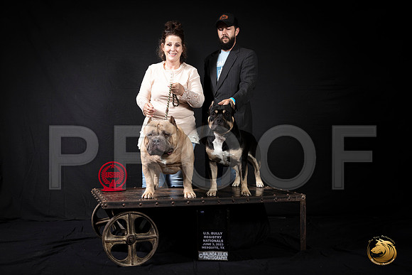 American Bully #26 WagnerMJP_3359_USBRNat2023_HR3