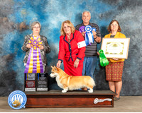 Debbie Cox FWKC 2023