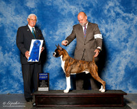 Boxer #7 Sun G1 Robbins Cheryl and Keith Agent Michael Sheherd Judge Charles Trotter