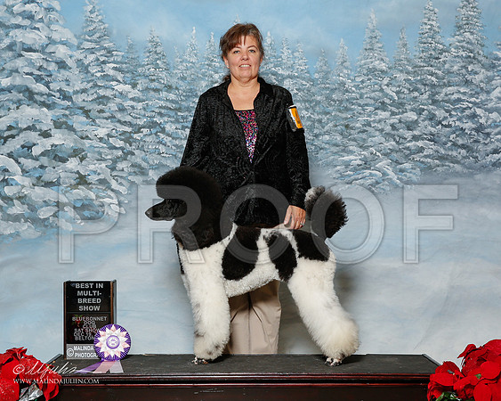 _R2_2699-2-BltnDec2015-HR3