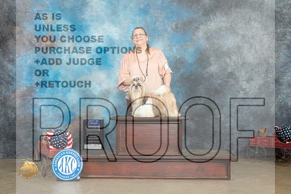 Shih Tzu #15 Fri BOBBOWM Judge Gary Andersen_MJ_6003_ARK2023_HR3