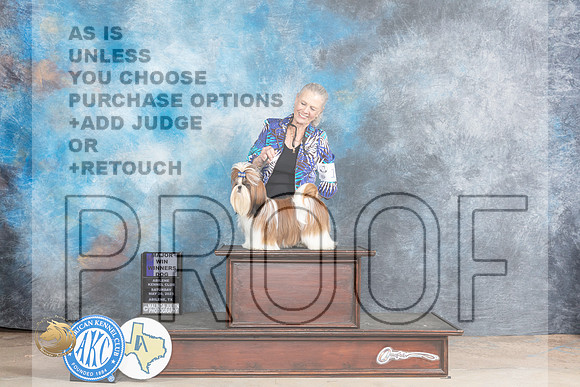 Shih Tzu #15 Sat WD Judge Ronald HornMJP_0842_Abilene_2023_HR3