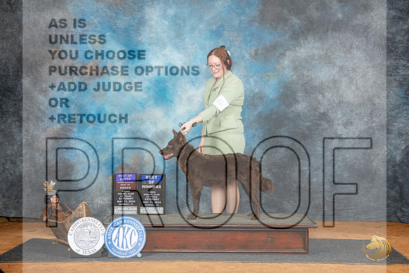 Mudi #6 Sat BOWBOBHBOB Judge Denise Dean__JP_7696_MARSHALL_2024_HR3