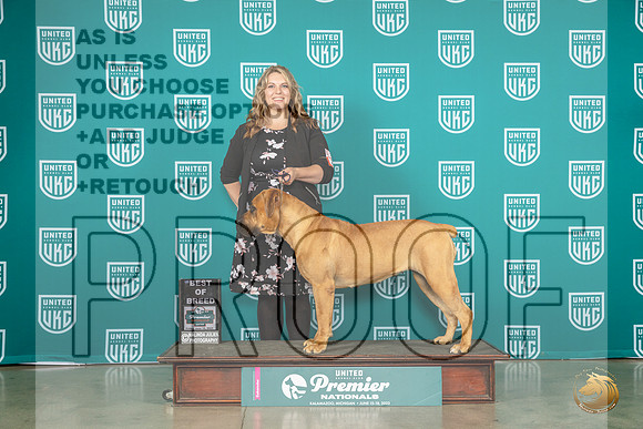 Boerbel #291 Fri BOB Judge Donna BeadleMJP_4517_Premier2023_HR3