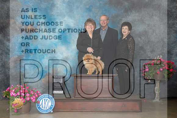 Pomeranian #5 Sun WDBOWM Judge Terry Stacy_MJ_7257_ARK2023_HR3