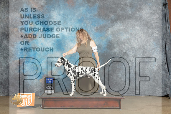Dalmatian #123 Sun G1 Judge Ronny JunkinsMJP_2909_UKCLNVWMAY2023_HR3