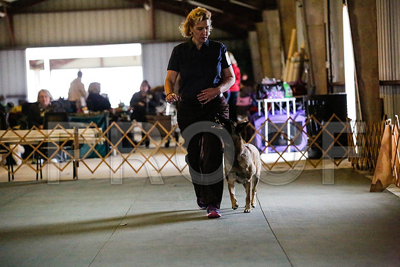 _CA_0631-DFWLabNov2015-©JulienLambertphoto.com-HR3