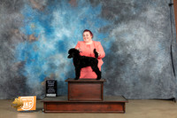 Poodle Std #138 PBOB Judge Amy Turner