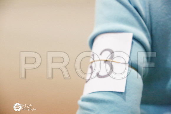 _M3_7185-MsqtApr14-HR3