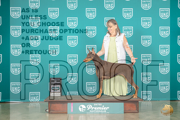 Doberman Pinscher #1175 Fri COC Judge Donna BeadleMJP_4425_Premier2023_HR3
