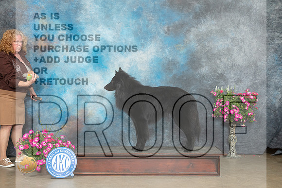 Belgian Sheepdog #5 Sat_MJ_6483_ARK2023_HR3