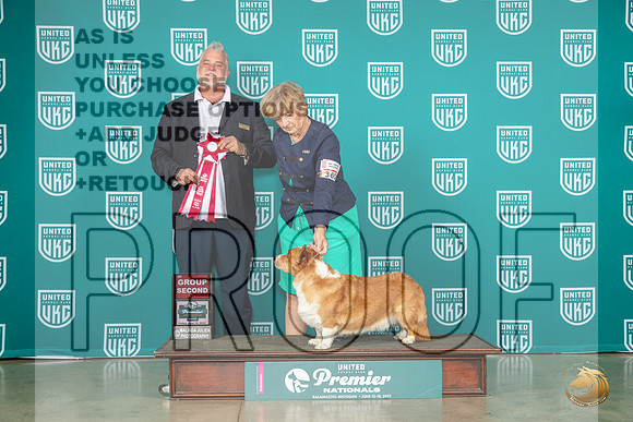 Cardigan Welsh Corgi #365 Fri AG2 Judge Matthew ProctorMJP_4672_Premier2023_HR3