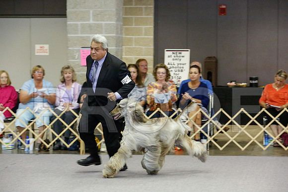 _JJ_0808-AfgBeltonOct2014-HR3
