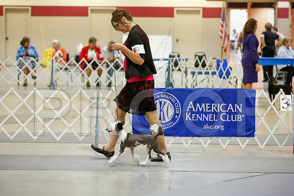 _JJ_0776-AmarilloSept2014-HR3