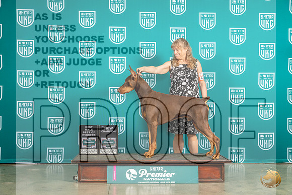 Doberman Pinscher #1250 Sun CHBOW Judge Pat O'DonnellMJP_5761_Premier2023_HR3