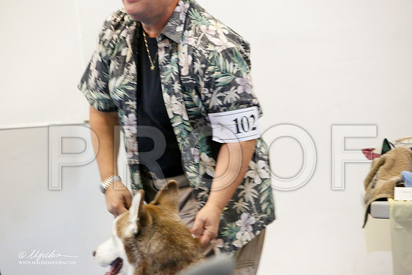 _M3_7829-AddisonHuskyMar2015-HR3