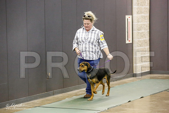 _JN_2628-BeltonJan2015-HR3