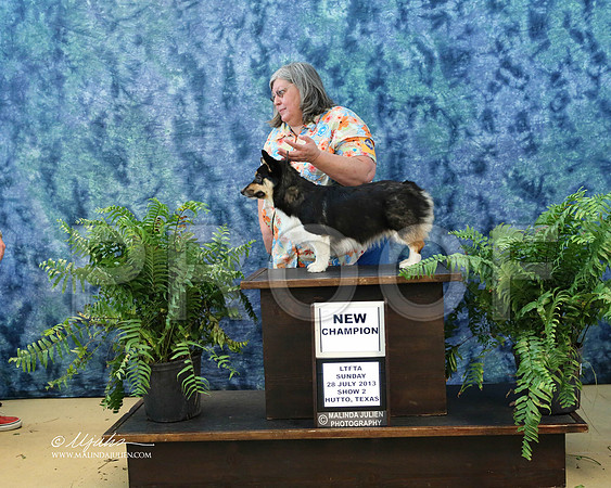 CorgiPW-0038-HuttoJul13