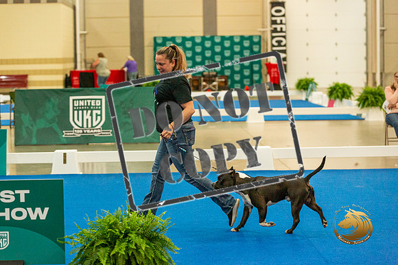 Meet the Breed - Nicole _JJL_0857-Premier2023