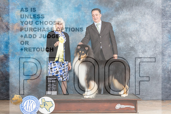 Collie Rough #7 Fri G3 Judge Jan PaulkMJP_0438_Abilene_2023_HR3