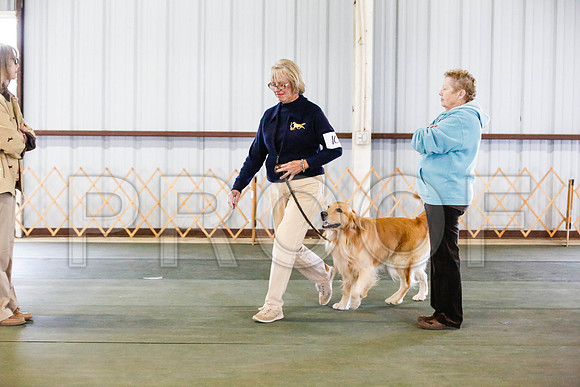 _CA_0553-DFWLabNov2015-©JulienLambertphoto.com-HR3