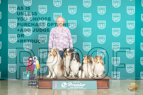 Shelties FunMJP_5831_Premier2023_HR3