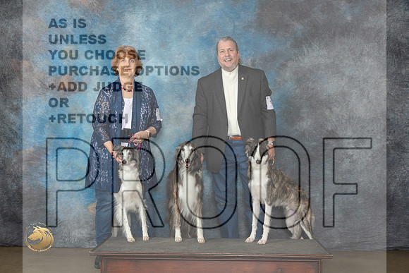 Silken Windhounds #179 FriMJP_1914_UKCLNVWMAY2023_HR3