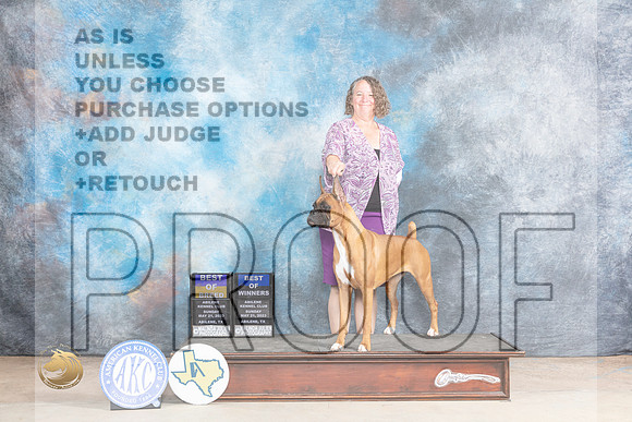 Boxer #8 BOBOHBOB Judge Gary AndersenMJP_1593_Abilene_2023_HR3