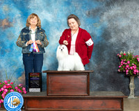 Cathy Bailey ARK 2023