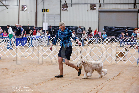 _JJ_8216-TxArJun2014-HR3