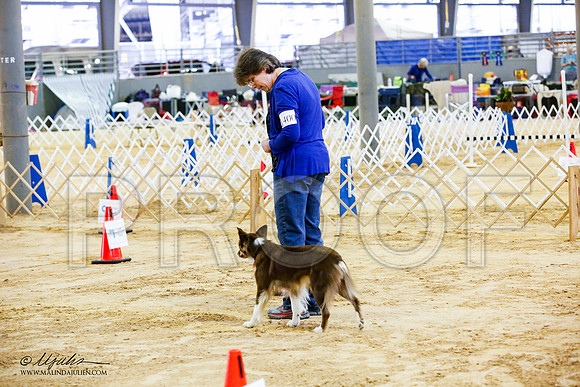 _JJ_4179-ASCACollegeStationNov2014-HR3