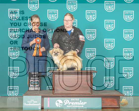 Tibetan Spaniel #1044 Thur BOB Judge Felicity Trammell-MJP_4018-Premier2023-HR3