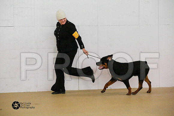 Guard--49-HtoJan2014-HR3