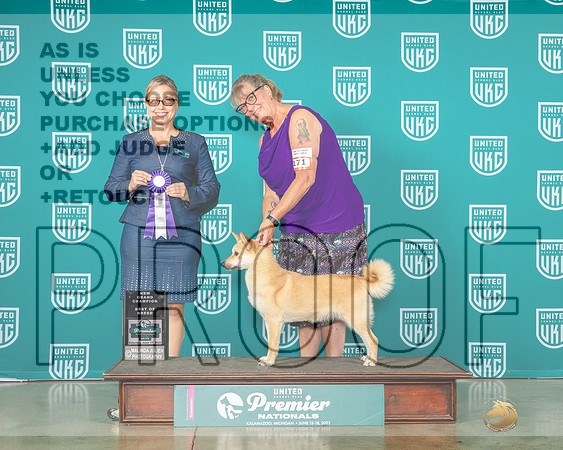 Norwegian Buhund #181 Sat BOB Judge Felicity Trammell-MJP_5070e-Premier2023-HR3