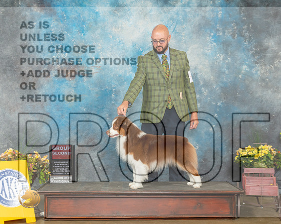 Miniature American Shepherd #15 Sat G2 Judge Ray Filburn-MMJ_0736-NWARK2022-HR3