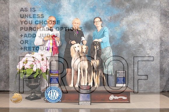 Saluki #9 #14 #15 Sat BOBBOSSD Judge Luis Sosa_MJ_7248_Houston_2022_HR3