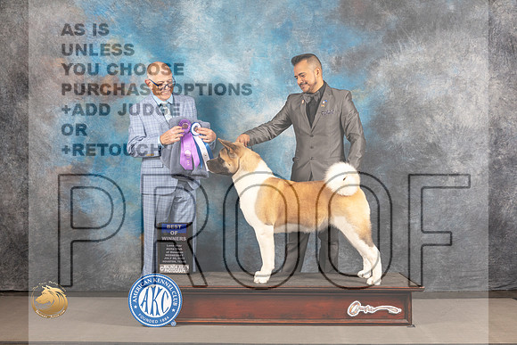 Akita #16 WED BOW Judge Donald Plummer_MJ_2378_Houston_2022_HR3