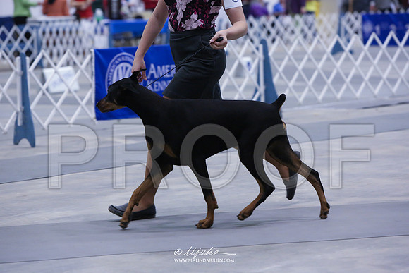 Dobe-4156-AbiMay13HR